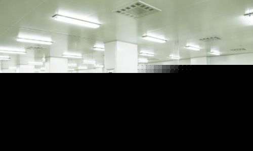 我就是肉多,咬我啊 柔軟勁道還耐嚼,滿口鮮香,忍不住想再吃一片 靖江