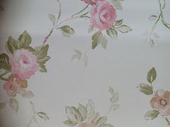 暢銷歐式印花墻紙生產廠家推薦_美蘭壁紙圖片|暢銷歐式印花墻紙生產廠家推薦_美蘭壁紙產品圖片由?？?裝飾工程公司生產提供-