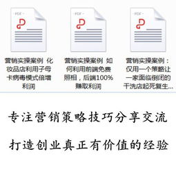 從策略到執行 一體化廣告營銷策劃方案與實戰案例分析